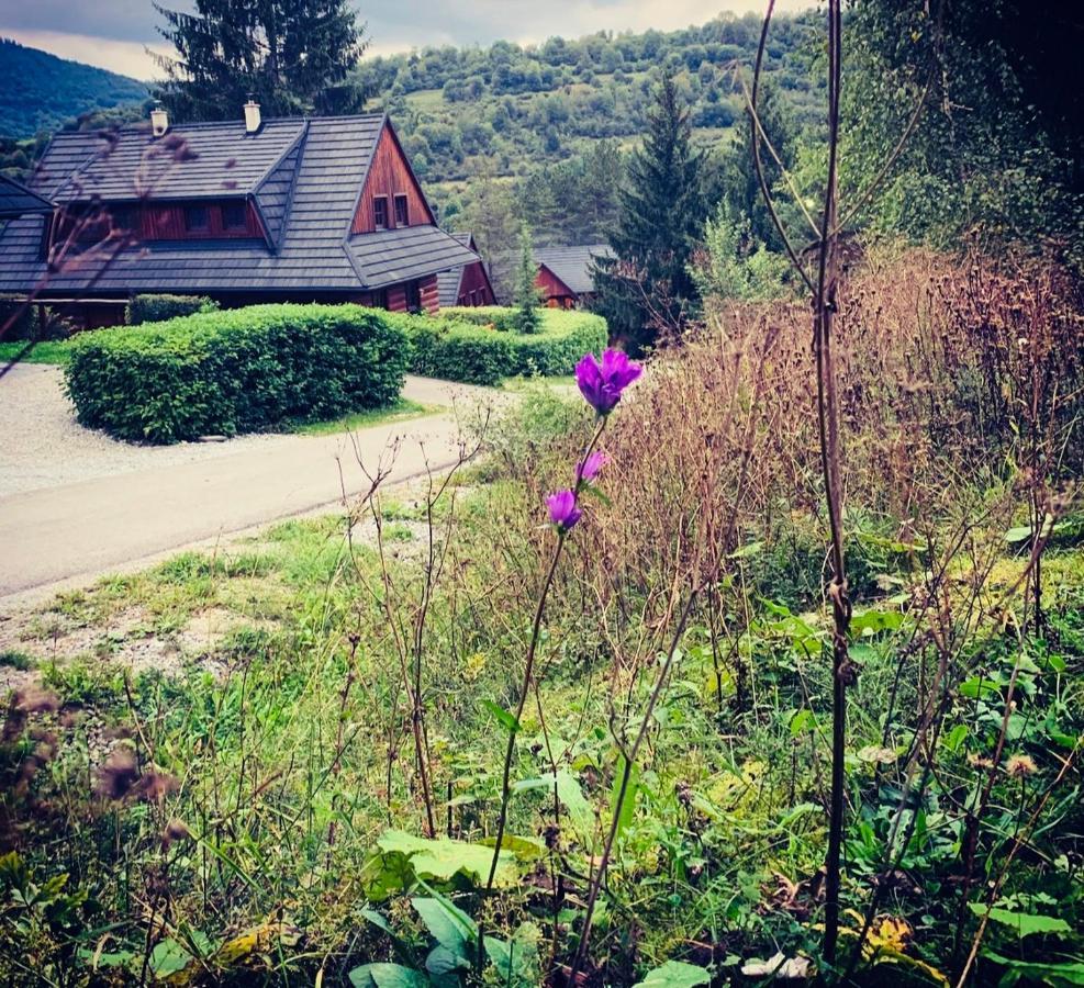 Villa Drevenica Uhorcik Terchová Esterno foto