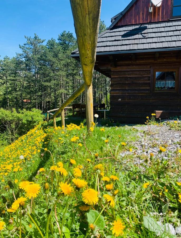 Villa Drevenica Uhorcik Terchová Esterno foto