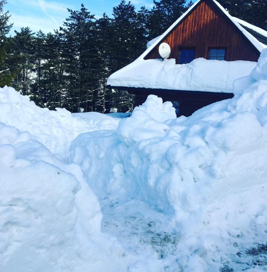 Villa Drevenica Uhorcik Terchová Esterno foto